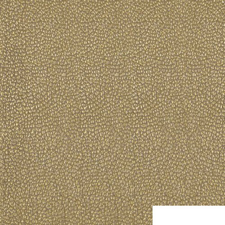 Кожзам Корсика 12