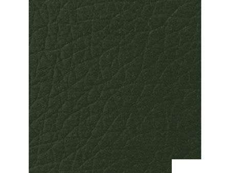 Кожзам Мадрас green india