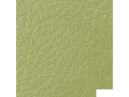 Кожзам Мадрас olive