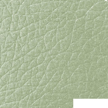 Кожзам Мадрас перламутр mint