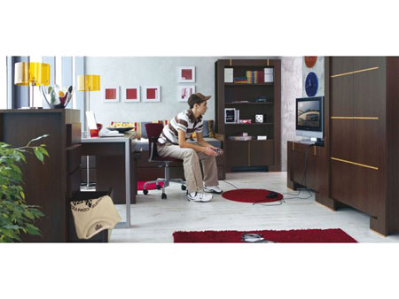 Подростковая система Modern Home
