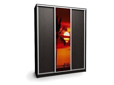 Шкаф-купе Ника-5 180х45х240 ДСП/Фотопечать