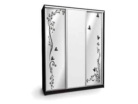Шкаф-купе Ника-2 240х60х240 с пескоструем