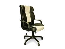 Кресло офисное Берилл Titan