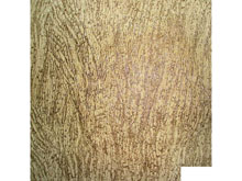 Ткань велюр Арбореал beige