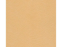 Ткань Gerra 340-003