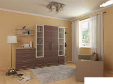 Система Карина-1