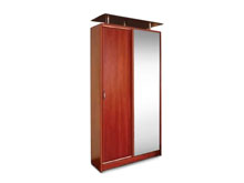 Шкаф-купе 2-х дверный