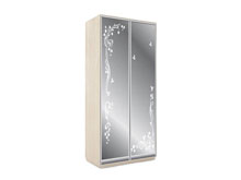 Двухдверный шкаф-купе В116 с пескоструем