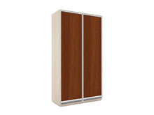 Двухдверный шкаф-купе В146