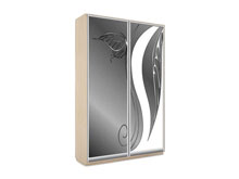 Двухдверный шкаф-купе В174 с пескоструем