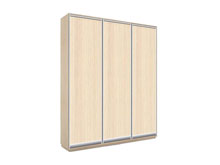 Трехдверный шкаф-купе В204