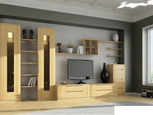 Система для гостиной Мелодия-16