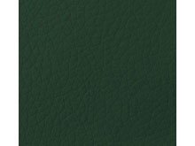 Кожзам Флай 2226