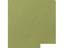 Кожзам Флай 2236