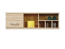 Полка 120 Инди