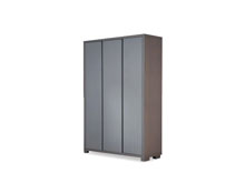 Шкаф Энея 3-Д