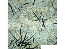 Ткань флок Хантер grey