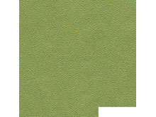 Кожзам Корсика 20