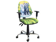 Кресло "Бридж Хром - Котята" AMF