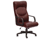 Кресло Геркулес Пластик AMF