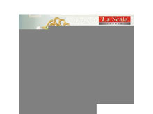 Подушка PG-36