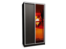 Шкаф-купе Ника-12 120х60х240 ДСП/Фотопечать