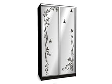 Шкаф-купе Ника-11 120х60х240 с пескоструем