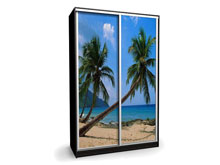 Шкаф-купе Ника-10 150х45х240 с фотопечатью