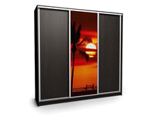 Шкаф-купе Ника-2 240х45х240 ДСП/Фотопечать