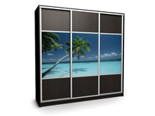 Шкаф-купе Ника-2 240х45х240 комби ДСП/фотопечать