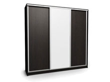 Шкаф-купе Ника-2 240х60х240