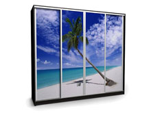 Шкаф-купе Ника-18 260х45х240 с фотопечатью