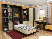 Система Алиса-1