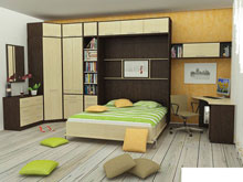 Система Алиса-6