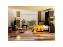 Система Алиса-9