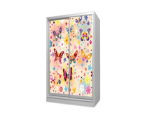 Шкаф-купе двухдверный 120х220