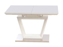 Стол ТМ-51-1 белый