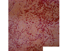 Ткань велюр Торос carmina