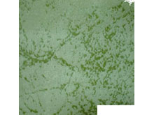 Ткань велюр Торос olive